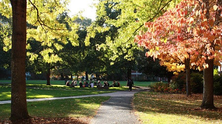 Students sitting in the grass in the fall on campus